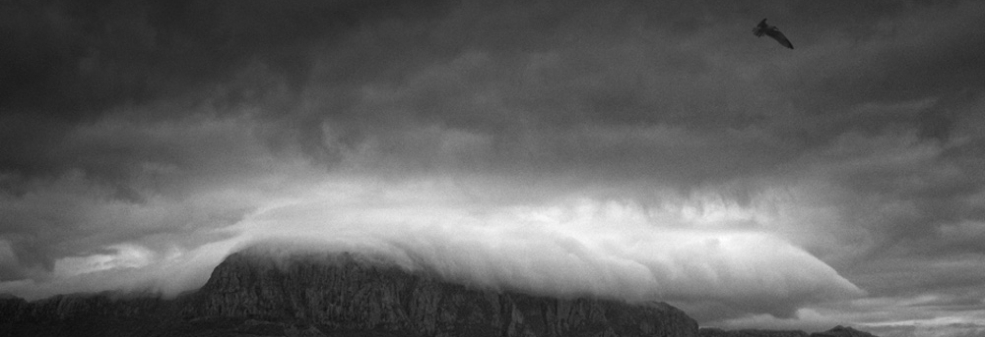 Κρίσεις πανικού και επιπτώσεις