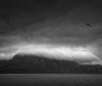 Κρίσεις πανικού και επιπτώσεις