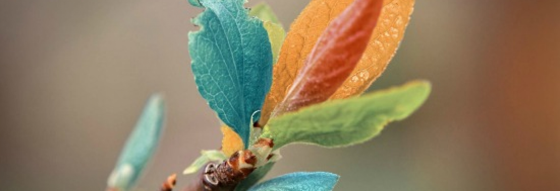 Ενισχύοντας την αυτοεκτίμηση των παιδίων