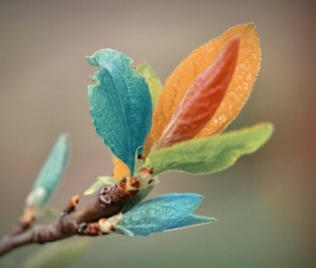 Ενισχύοντας την αυτοεκτίμηση των παιδίων