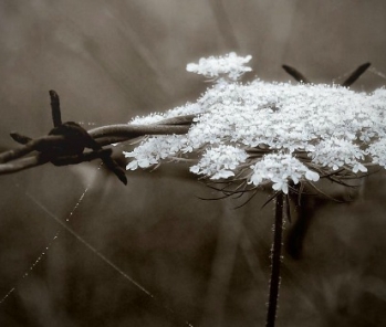 Η Ζήλεια στην σχέση