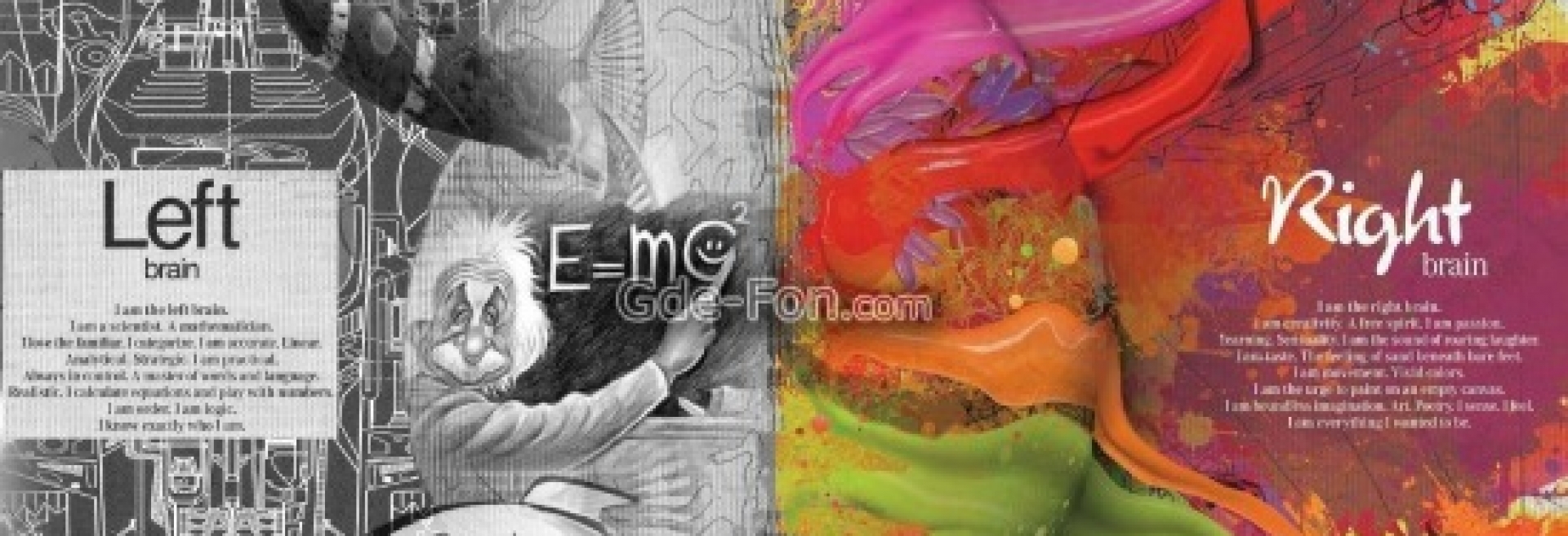 Ο εγκέφαλος και η λειτουργία του